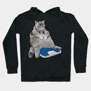 Fat grey cat on the scales Hoodie